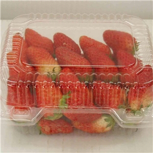 食品吸塑包(bāo)裝應用